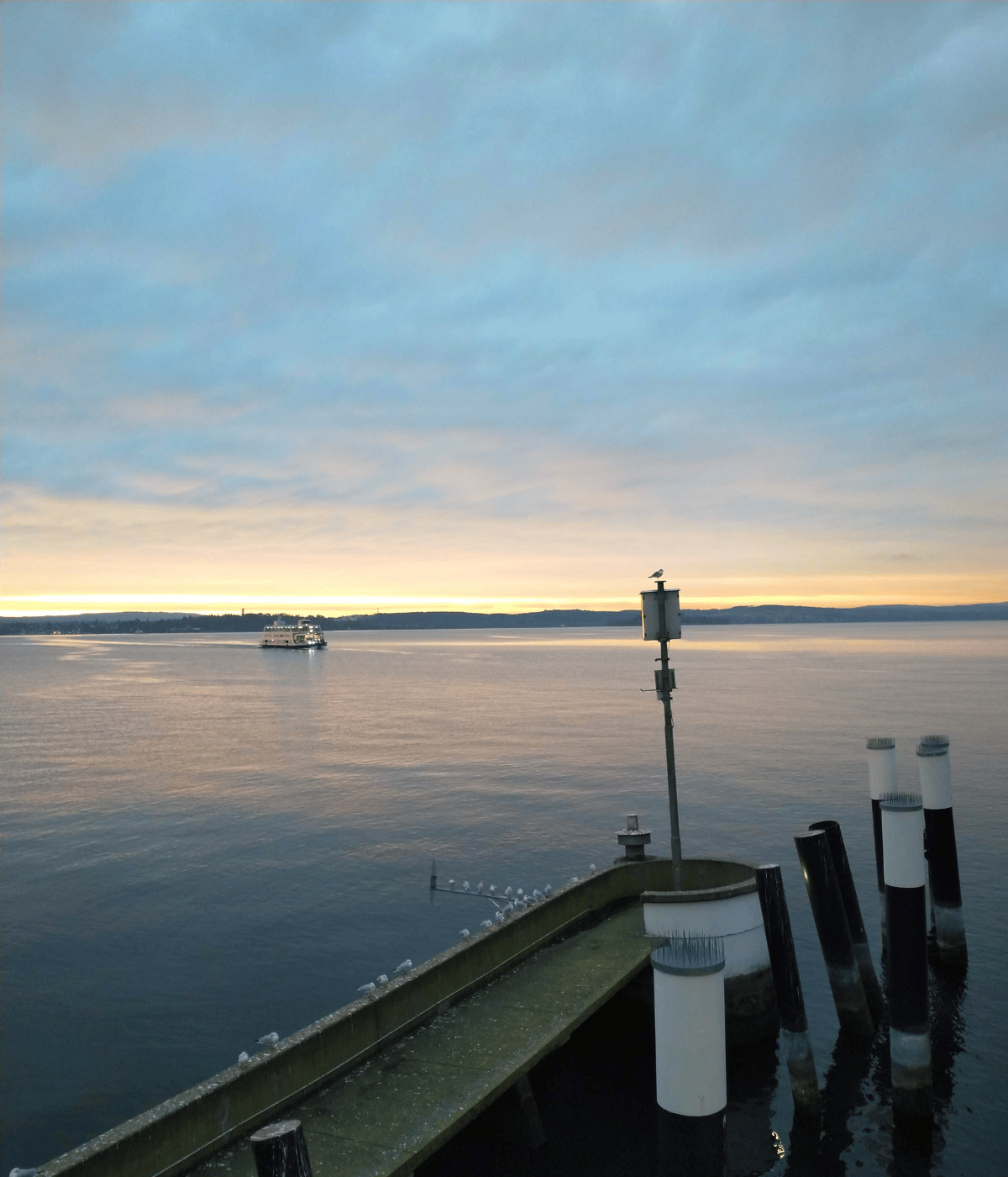 Bodensee Landschaft